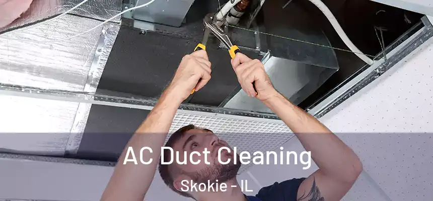  AC Duct Cleaning Skokie - IL