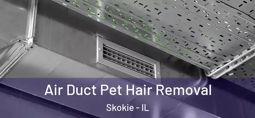 Air Duct Pet Hair Removal Skokie - IL