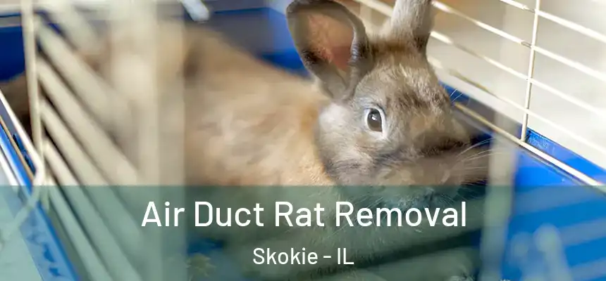  Air Duct Rat Removal Skokie - IL
