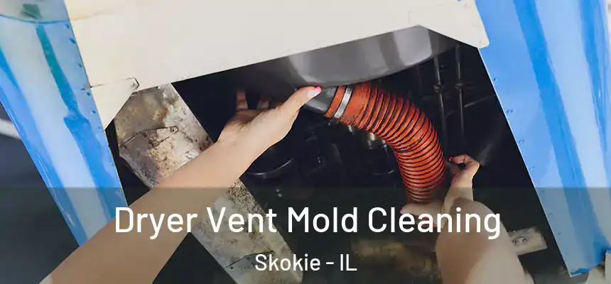  Dryer Vent Mold Cleaning Skokie - IL