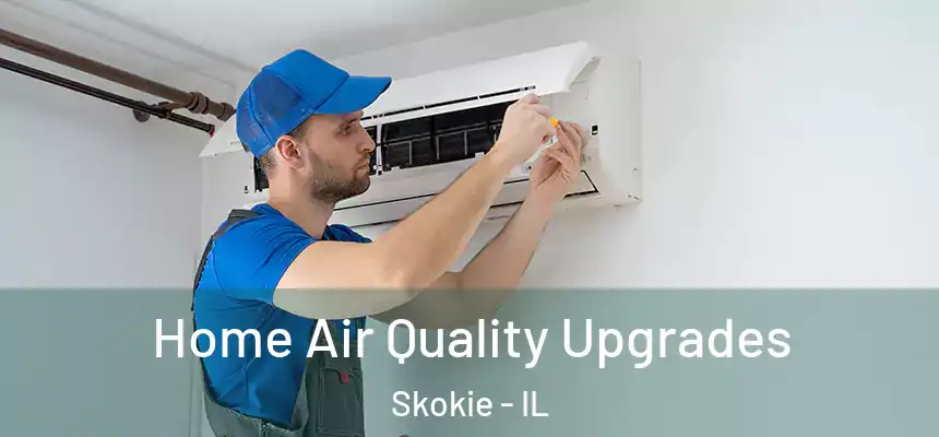 Home Air Quality Upgrades Skokie - IL