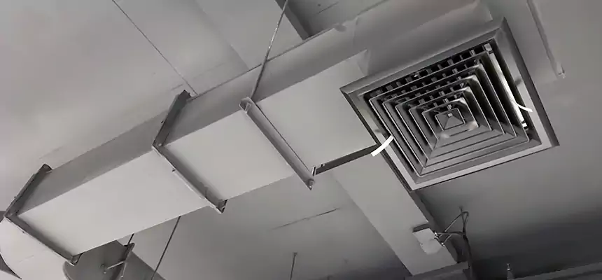 Restorative Allergy Relief Vent Cleaning – Coil, Blower & Housing Detail in Skokie