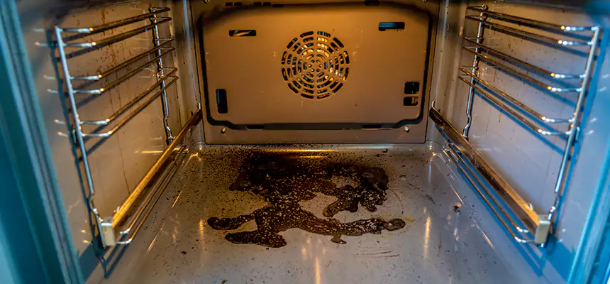 Our Dryer Vent Mold Cleaning Services in Skokie, IL