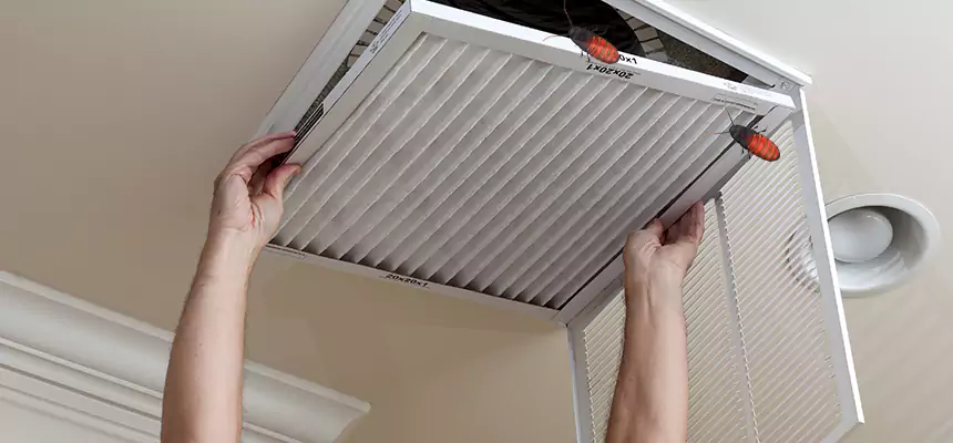 Our Insect Removal from Air Ducts Services in Skokie, IL