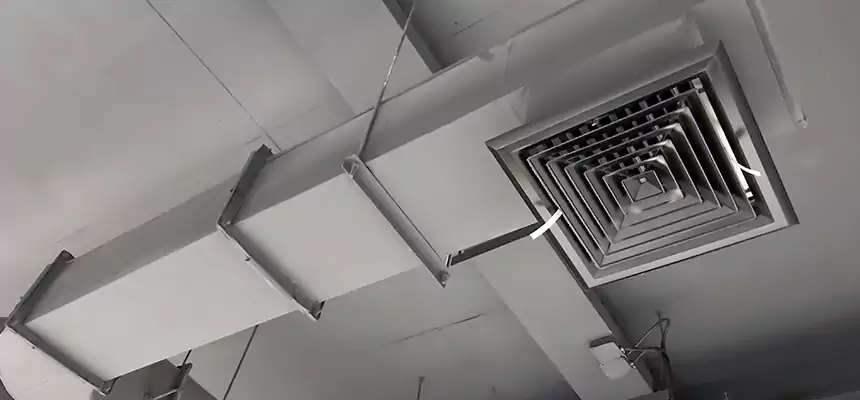 Our Pest Removal From Ducts Services in Skokie, IL