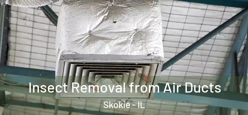 Insect Removal from Air Ducts Skokie - IL