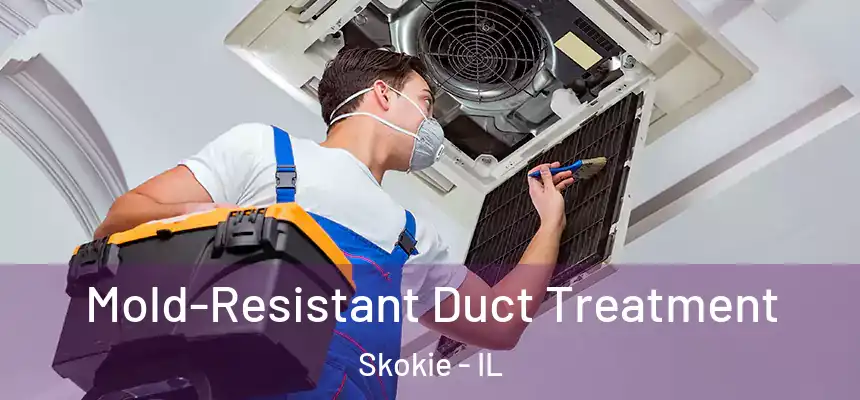  Mold-Resistant Duct Treatment Skokie - IL