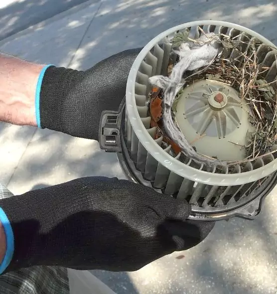 About Air Duct Rat Removal in Skokie, IL