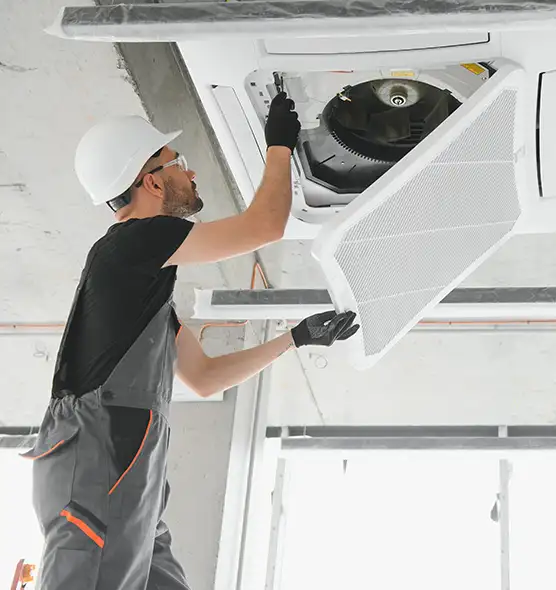 About Air Duct Rodent Removal in Skokie, IL