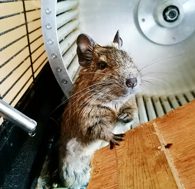 Why Homeowners & Businesses Trust Us Skokie, IL