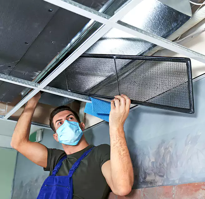 Why Homeowners Businesses Trust Us in Skokie, IL