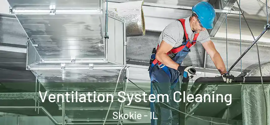  Ventilation System Cleaning Skokie - IL